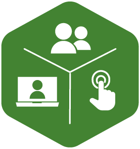 Virtual icon